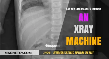X-Raying the Truth: Are Magnets Safe to Take Through Security?