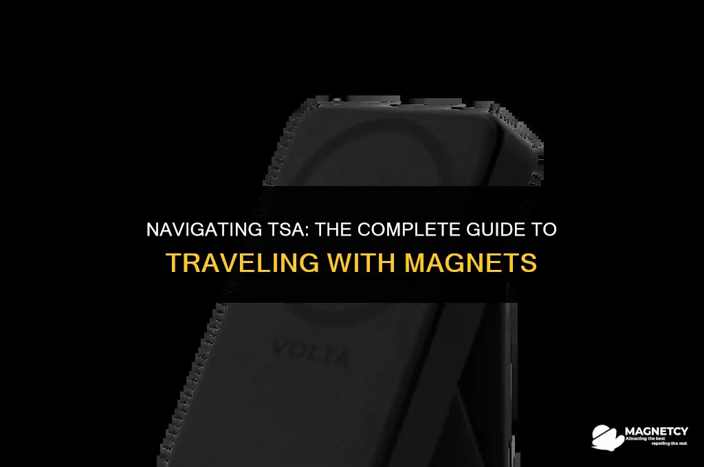 can you take magnets through tsa