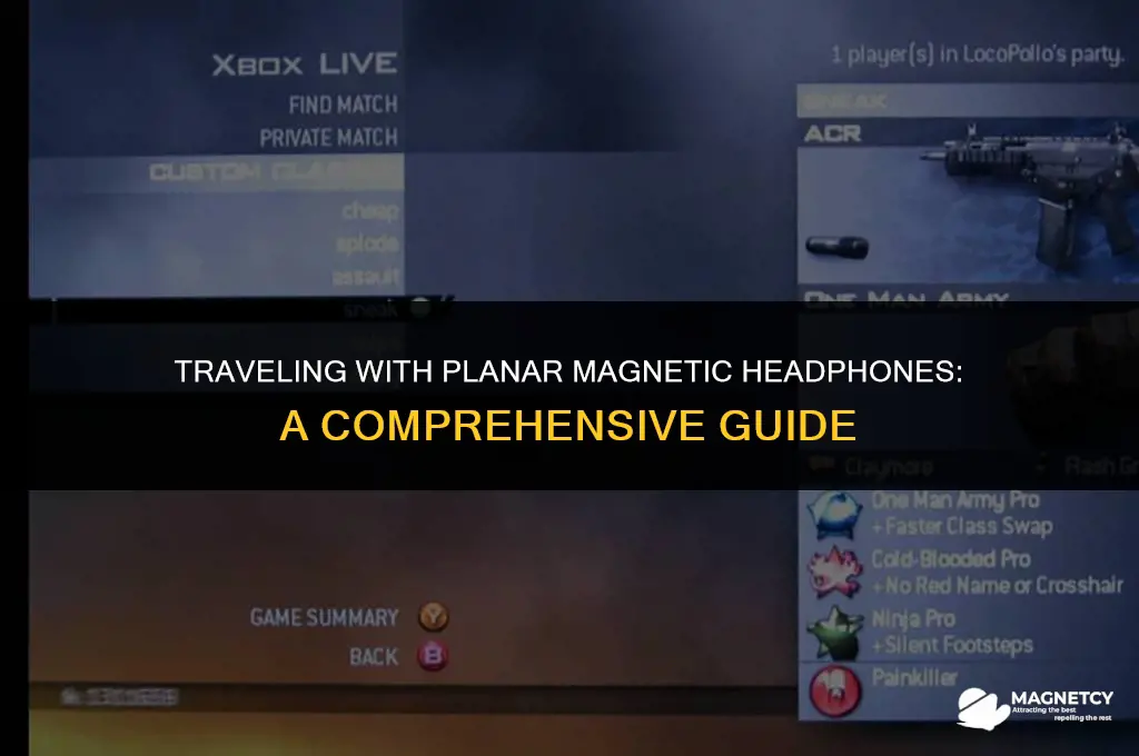 can you take planar magnetic headphones on a plane