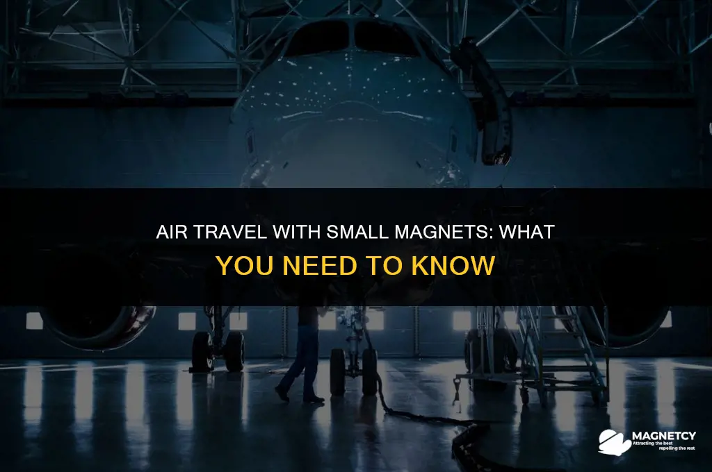 can you take small magnets on a plane
