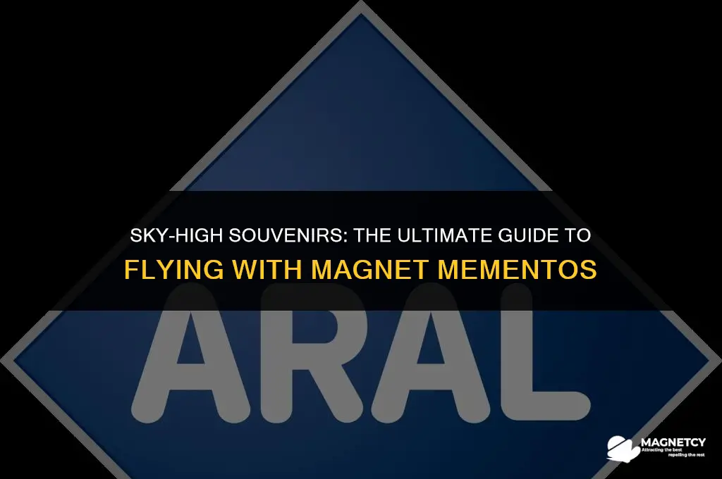can you take souvenir magnets on a plane