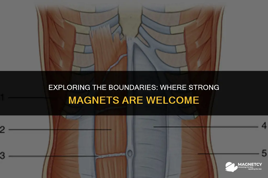 can you take strong magnets on a place