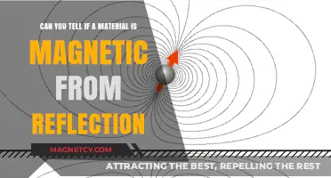 Unveiling Magnetism: Can Reflections Reveal a Material's Hidden Properties?