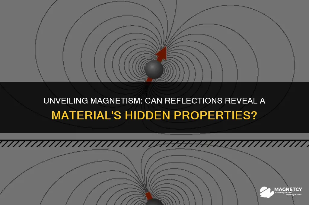 can you tell if a material is magnetic from reflection