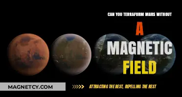 Terraforming Mars: The Magnetic Field Dilemma Explained
