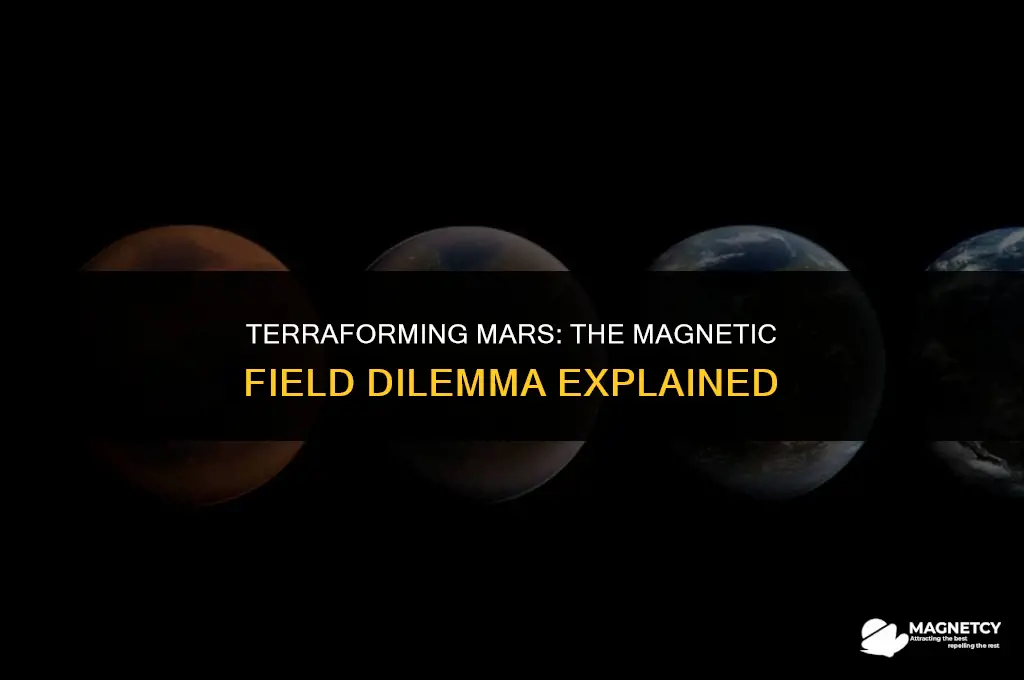 can you terraform mars without a magnetic field
