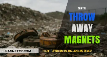 Demystifying Magnet Disposal: Safe Practices for Handling Magnetic Materials