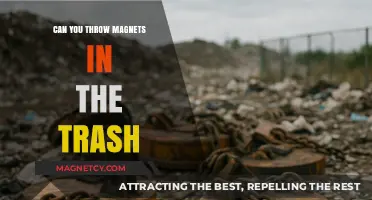 The Surprising Truth About Disposing of Magnets: Trash or Recycle?
