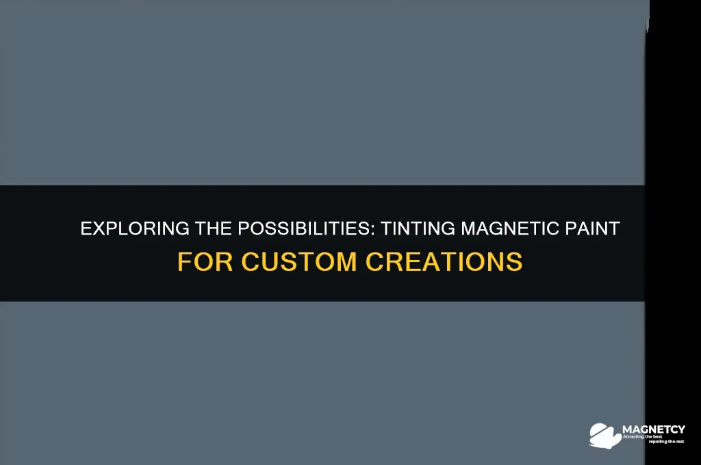 can you tint magnetic paint
