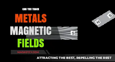 Exploring the Invisible: Can We Track Metals' Magnetic Fields?