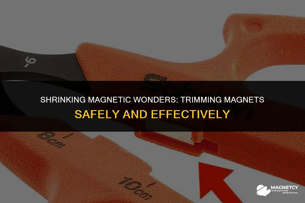 can you trim a magnet to make it smaller
