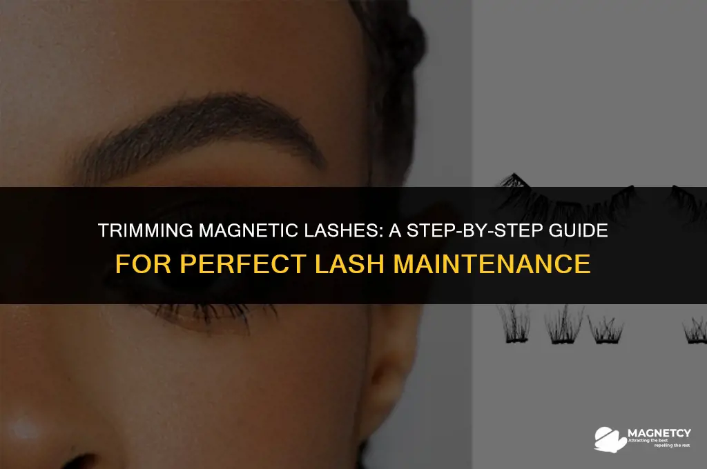 can you trim magnetic lashes