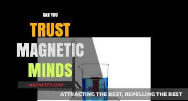 Exploring the Reliability of Magnetic Minds: A Deep Dive