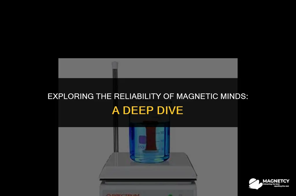 can you trust magnetic minds
