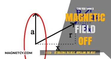 Exploring the Possibilities: Can Magnetic Fields Be Turned Off?