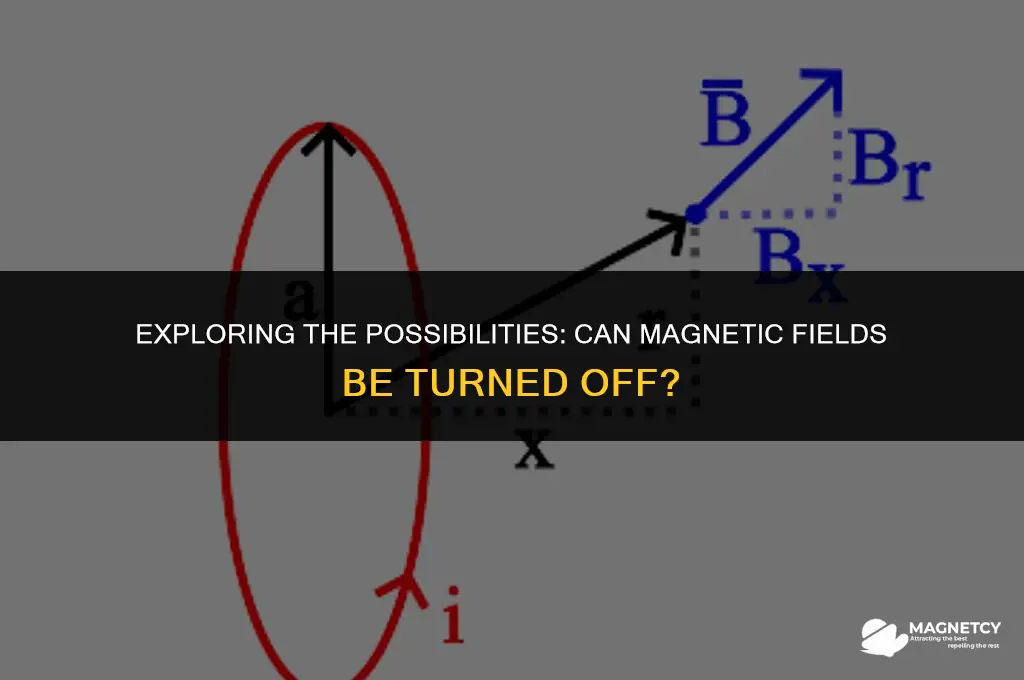 can you turn a magnetic field off