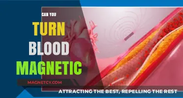 Exploring the Science: Can Blood Be Turned Magnetic?