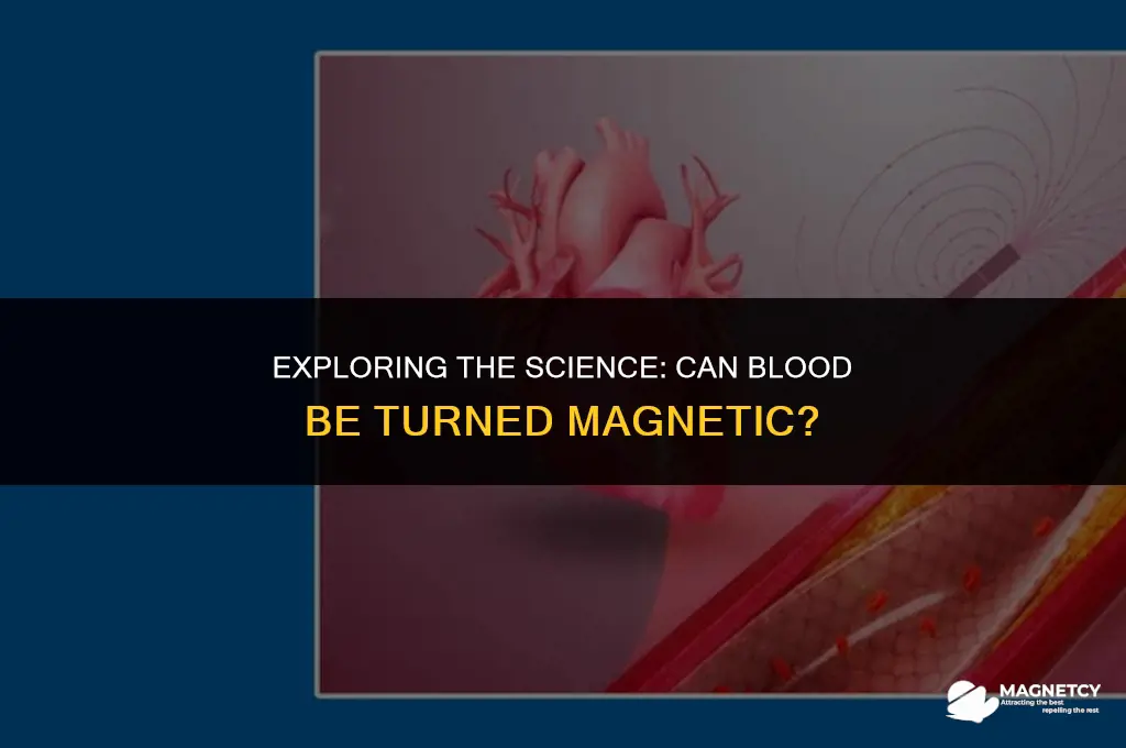 can you turn blood magnetic