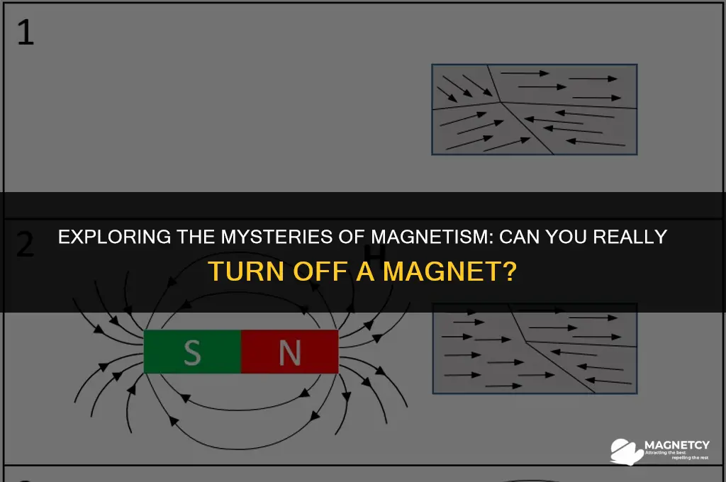 can you turn magnets off