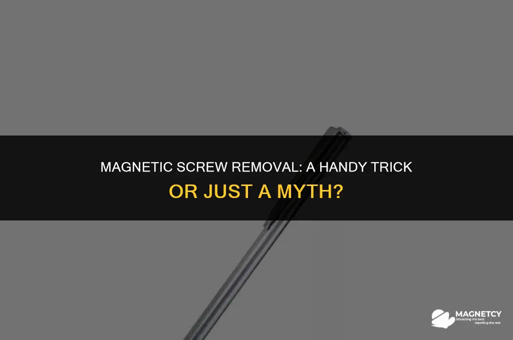 can you unscrew a screw with a magnet