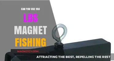Magnet Fishing with 150 lbs: Is It Effective and Safe?