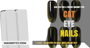 Fridge Magnet Hack: Creative Cat Eye Nails at Home?