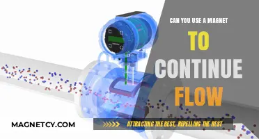Magnetic Influence: Can Magnets Sustain Continuous Flow in Fluids?