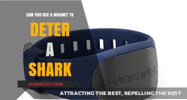 Magnetic Shark Deterrents: Fact or Fiction? Exploring the Science