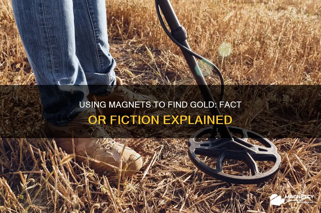 can you use a magnet to find gold