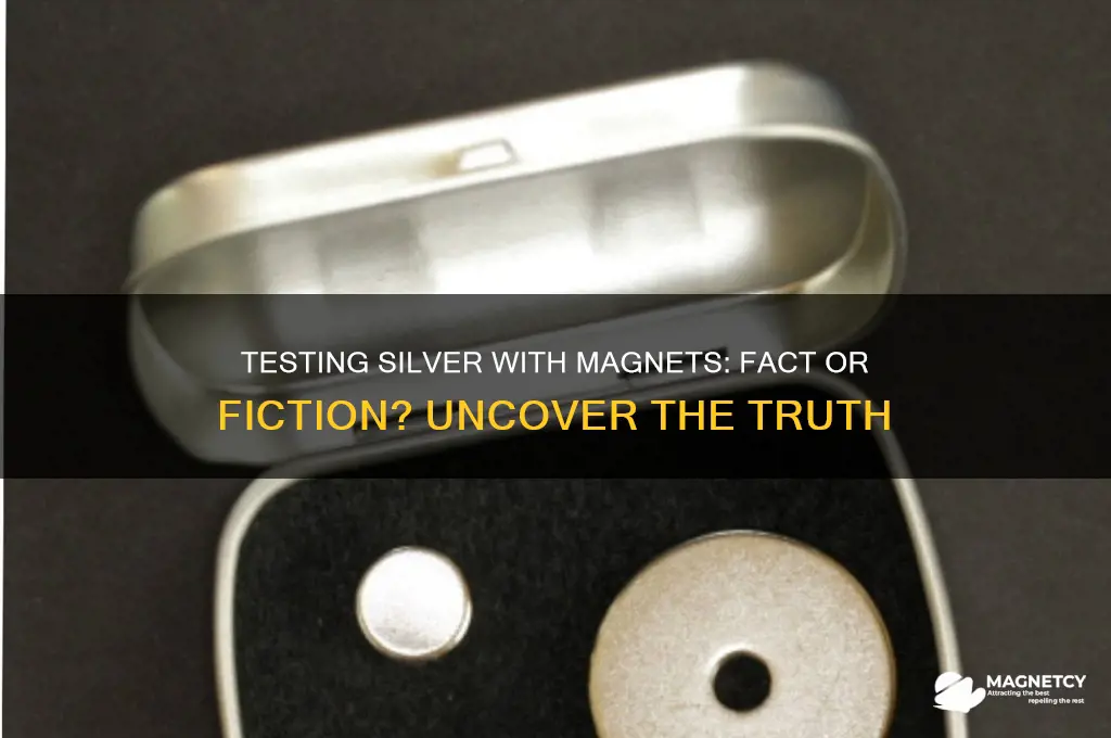 can you use a magnet to test silver
