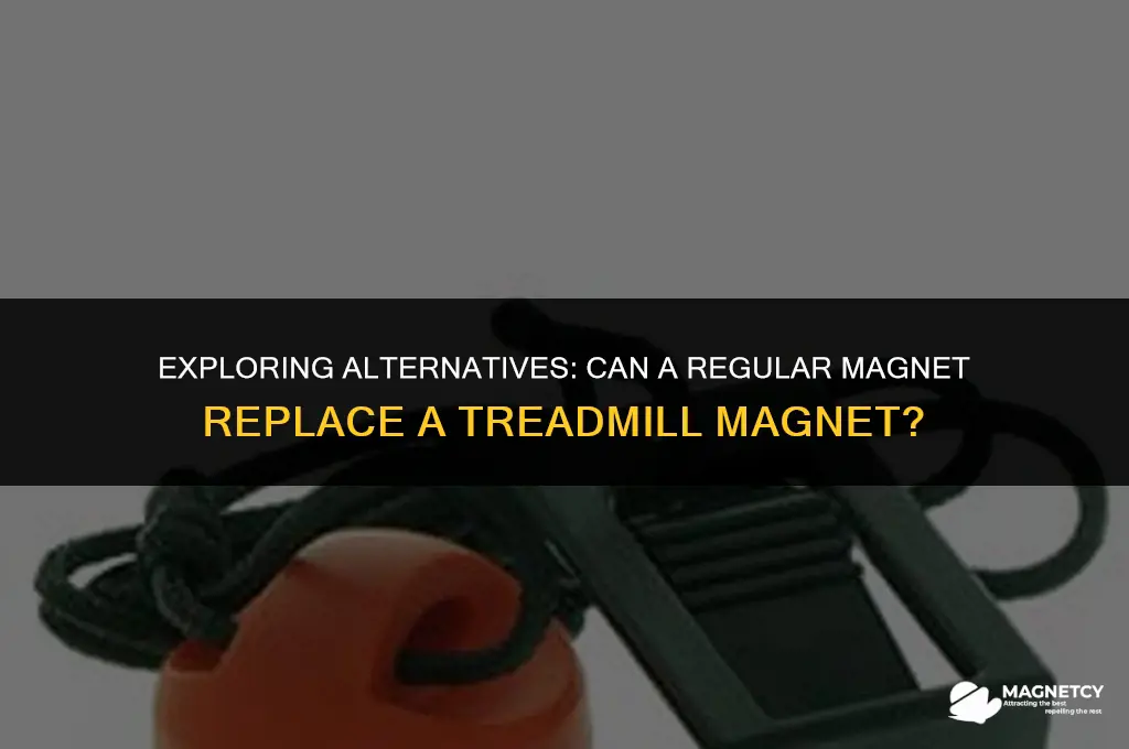 can you use a regular magnet for a treadmill