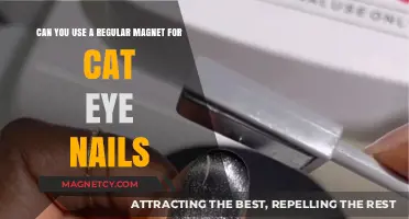 Magnetic Attraction: Can Regular Magnets Work for Cat Eye Nails?