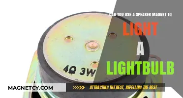Speaker Magnet Power: Can It Light a Lightbulb? Find Out!