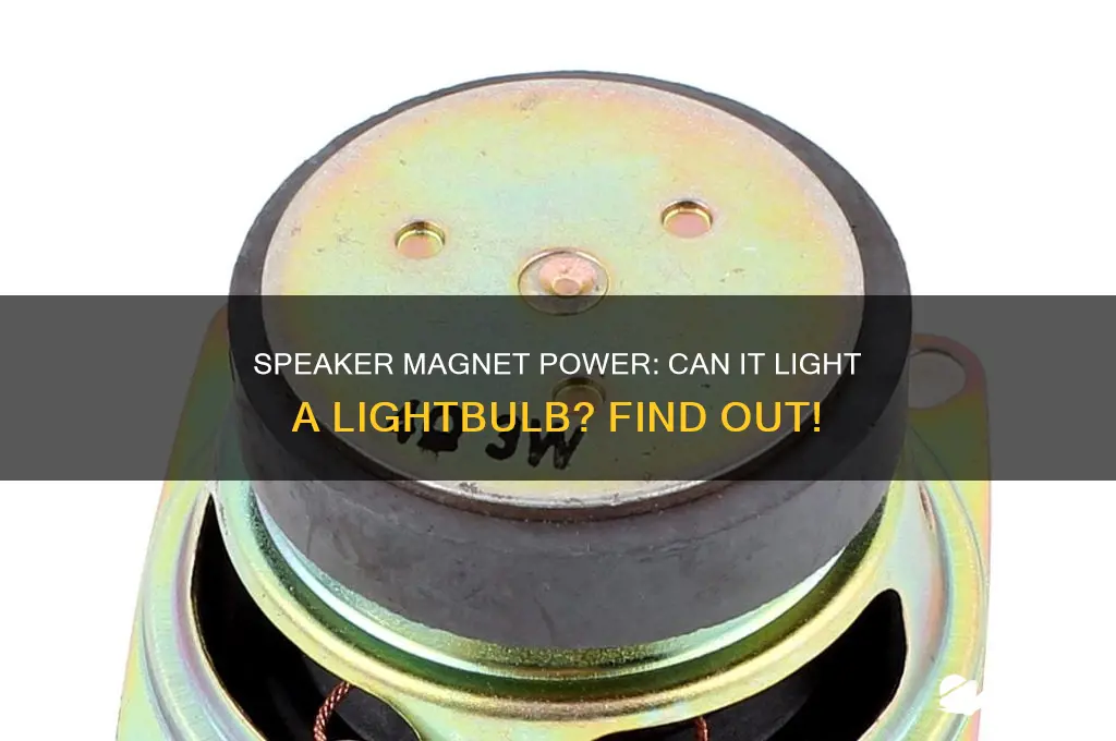 can you use a speaker magnet to light a lightbulb