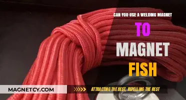Welding Magnets for Magnet Fishing: Effective Tool or Risky Choice?