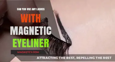 Magnetic Eyeliner: The Ultimate Guide to Lash Compatibility