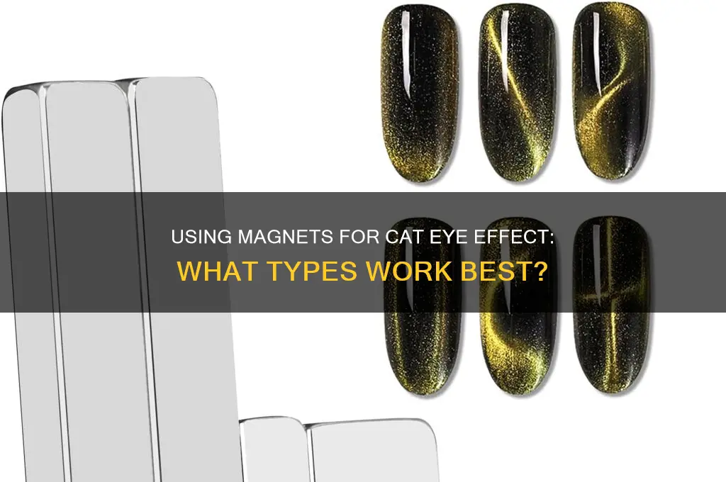 can you use any magnet for cat eye