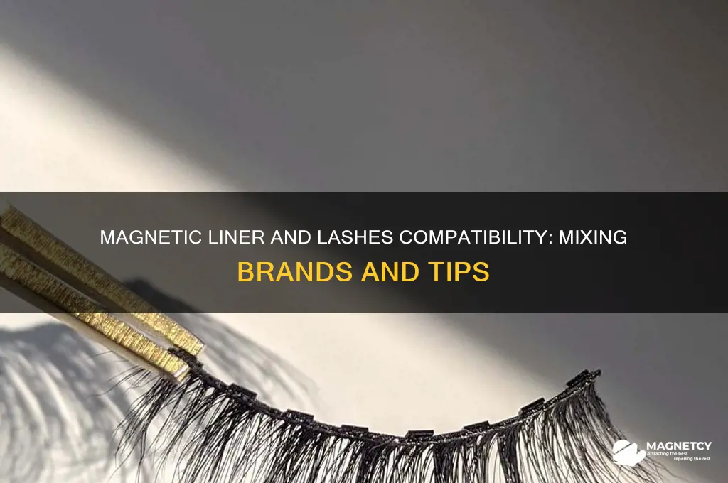 can you use any magnetic liner with any magnetic lashes
