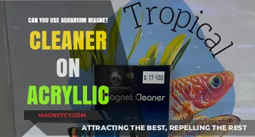 Can Aquarium Magnet Cleaners Safely Clean Acrylic Tanks? Find Out!
