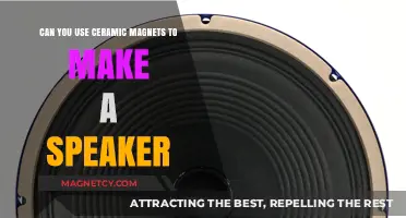 Crafting Speakers with Ceramic Magnets: Feasibility and DIY Guide