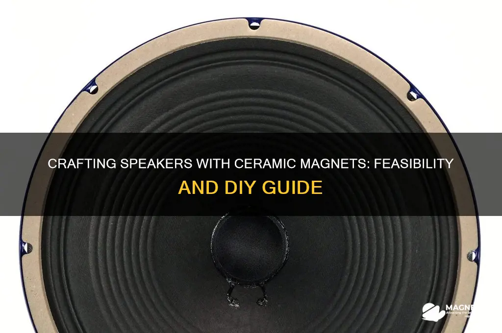 can you use ceramic magnets to make a speaker