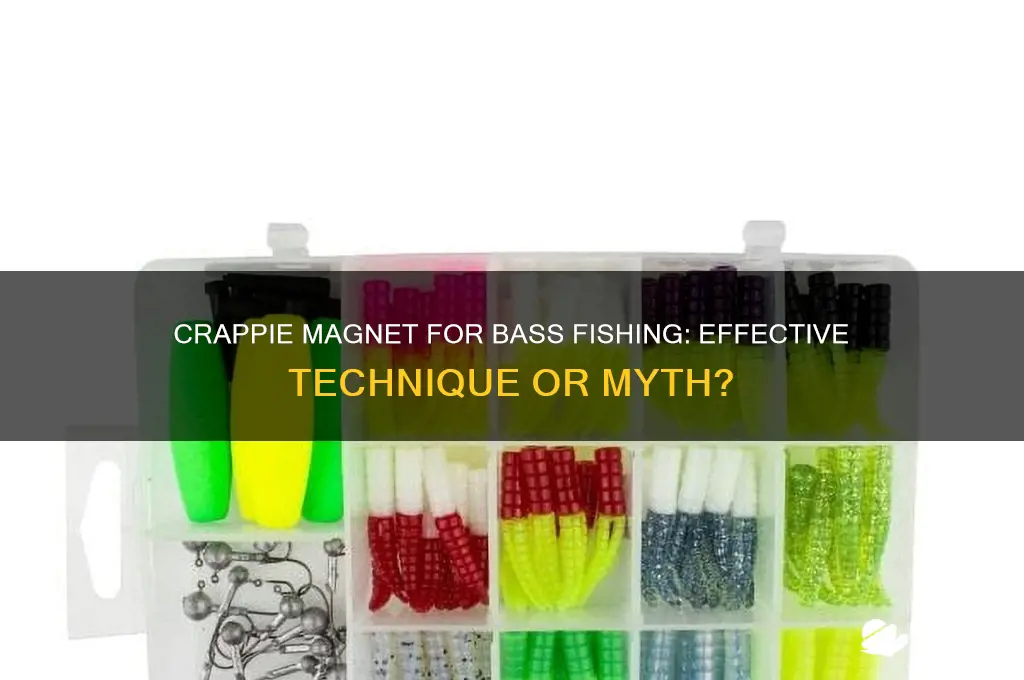 can you use crappie magnet to fish for bass