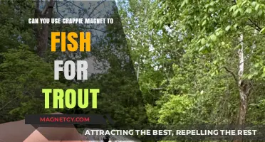 Crappie Magnet for Trout Fishing: Effective Technique or Waste of Time?