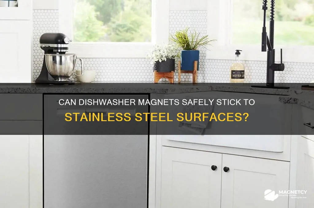 can you use dishwasher magnets on stainless steel