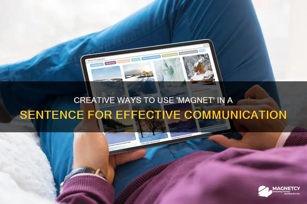 can you use magnet in a sentence