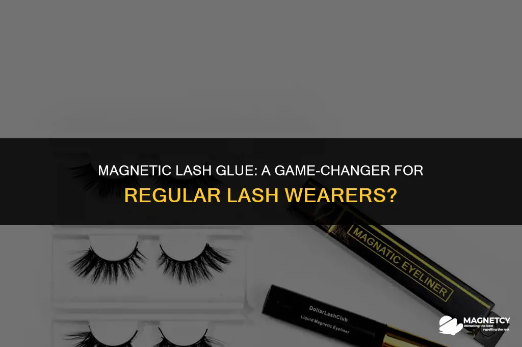 can you use magnetic lash glue with regular lashes