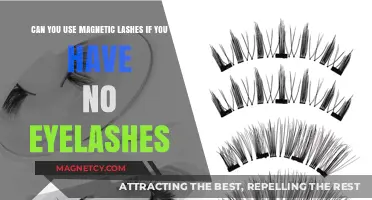 Magnetic Lashes Without Natural Eyelashes: A Viable Option?