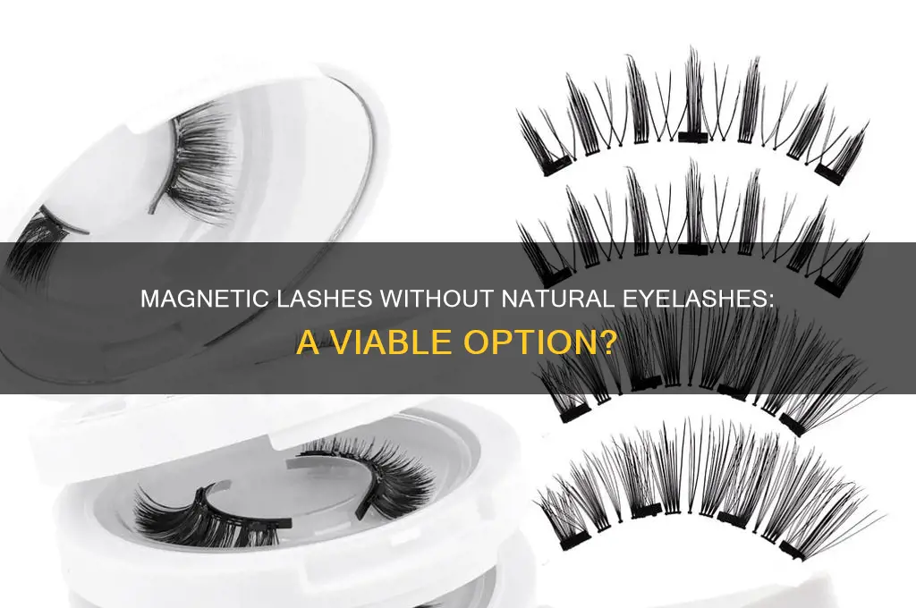 can you use magnetic lashes if you have no eyelashes