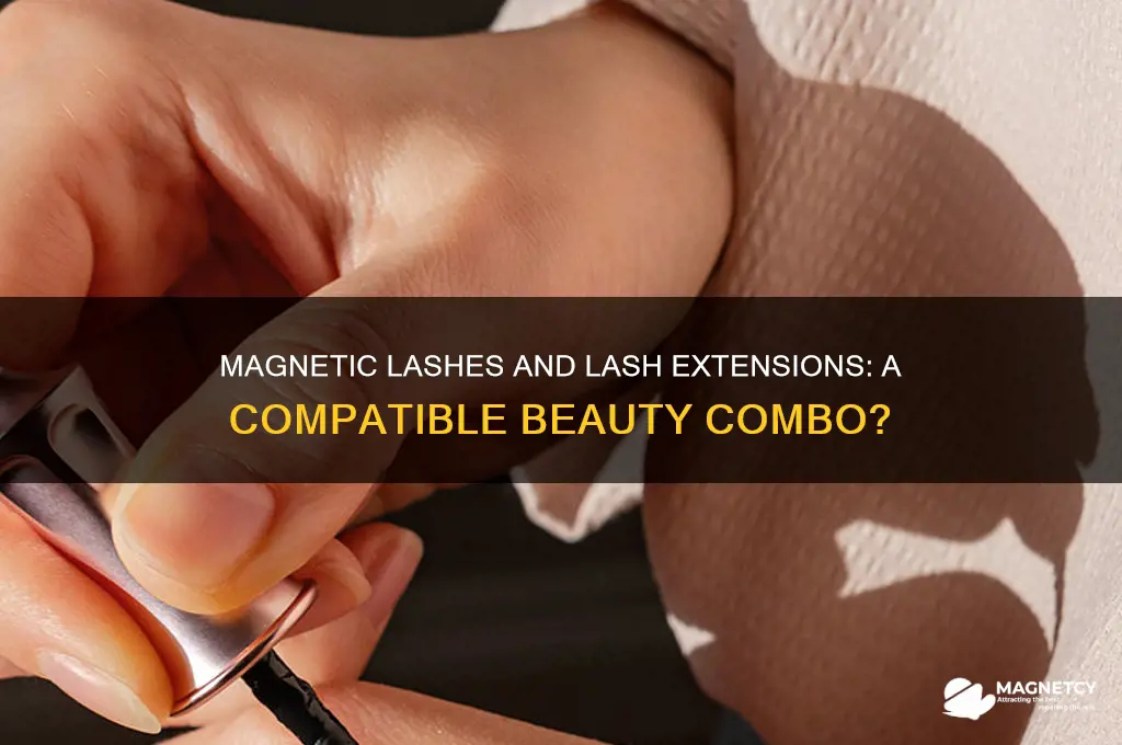 can you use magnetic lashes with lash extensions
