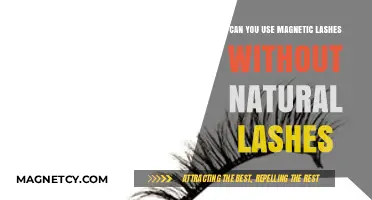 Magnetic Lashes Without Natural Lashes: Tips and Alternatives for Use